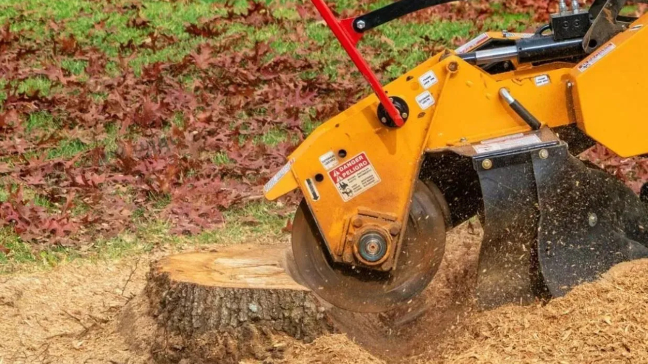 Stump Grinding